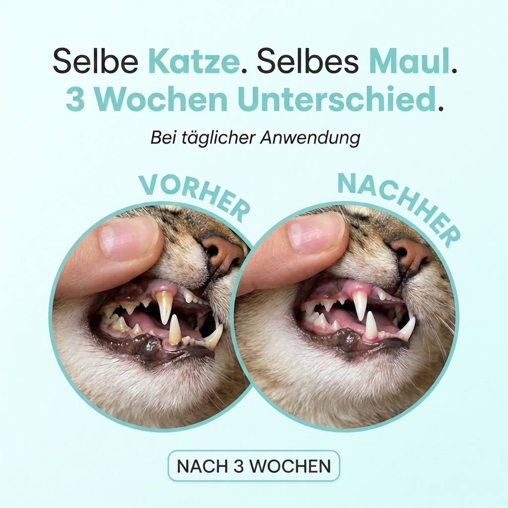 Mydelia™ - Katzenzahnpulver