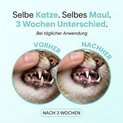Mydelia™ - Katzenzahnpulver