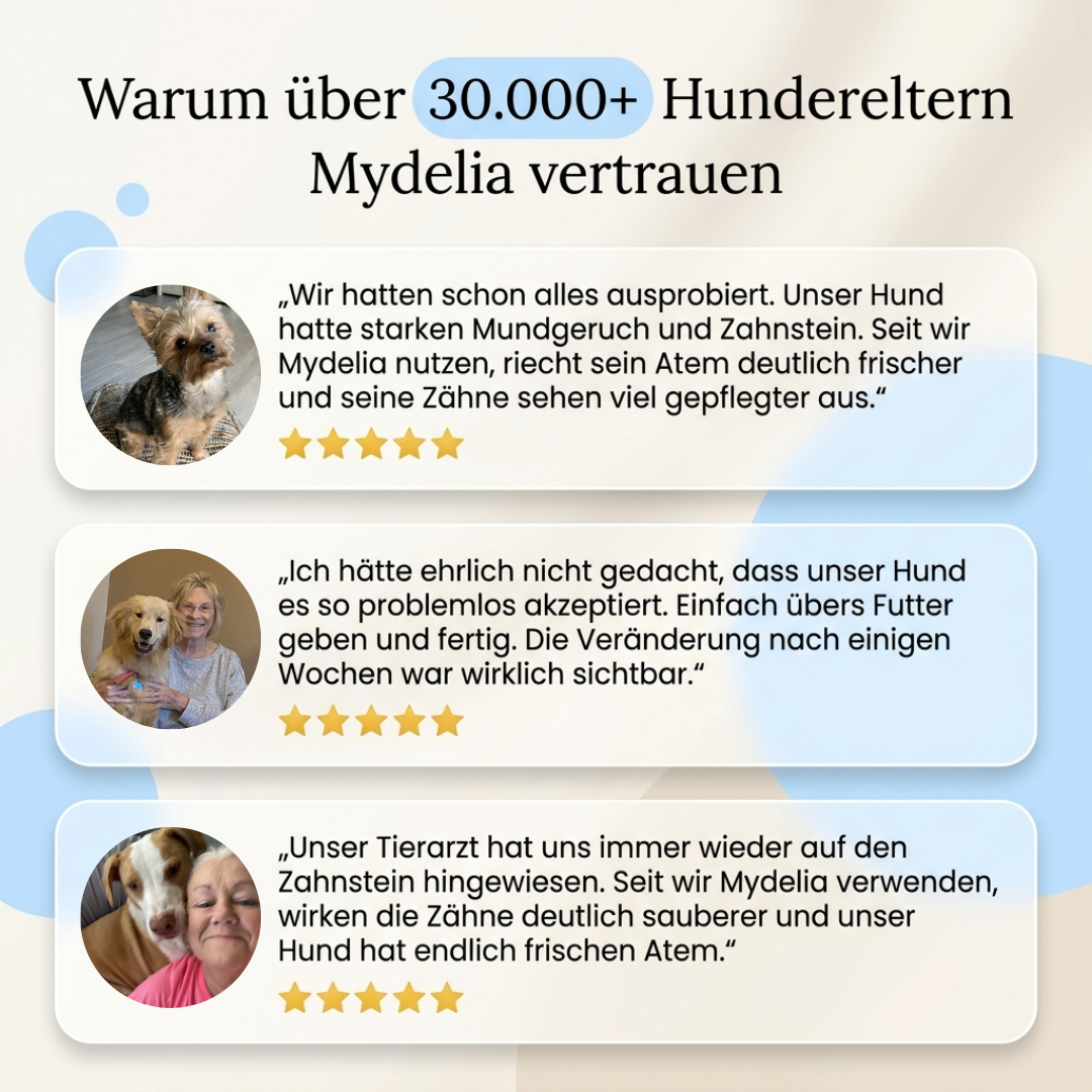 Mydelia™ - Hundezahnpulver