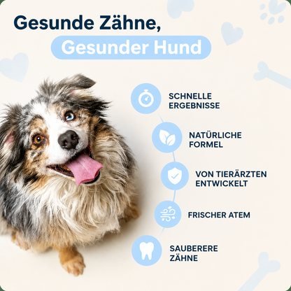 Mydelia™ - Hundezahnpulver